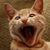Richard Rearden's profile image