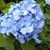 Lydia Blesk's profile image