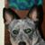 Donna Toms's profile image