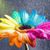 Deb Wolford's profile image