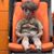 David Cocco's profile image