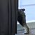 Steffi DeRitter's profile image