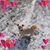 Wilma Bouwkamp-Klappe's profile image