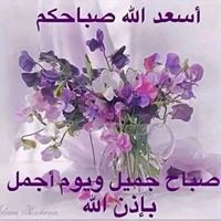 الشريف شقير صدق البصيلي's profile image