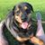 Angel Seddon's profile image