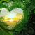 Cindy Ann Olivas's profile image