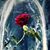 Mary Chuy Lopez's profile image