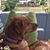 Pamela K Holcomb's profile image