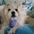 Sally Howard's profile image