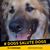 Linda Weygandt's profile image