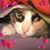 Gloria E. May's profile image