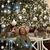 Debbie Mathison's profile image