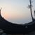Sharmin Haque's profile image