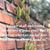 Sharon Gallagher Schmidt's profile image