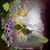 Tina Williams's profile image