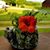 Deirdre Earl Sadler's profile image