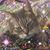 Sherry Kotvis's profile image