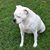 Terry Dale Raffidy's profile image