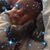 Vivy Adnarim's profile image