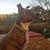 Lisa Bowne's profile image