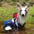 Bria Gaskin's profile image