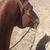 Kelly Malinas's profile image