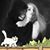 Angie Burroughs's profile image