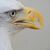 Donna Ego's profile image