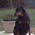 Susan Riddle's profile image