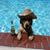 Randy Pelkey's profile image
