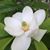 Patricia Poncheri's profile image