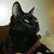 Freida Sweet's profile image