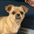 Bonnie Van Steenwyk Nebe's profile image