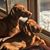 Kym Lovejoy Fisher's profile image