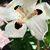 Wendy Kriss Spanier's profile image