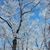 Kathy Cappelletty's profile image