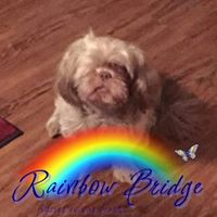 Freddy Johnson's profile image