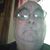 Ray White's profile image