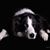 Jackie Morgan's profile image