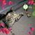 Bianca Bowen's profile image