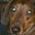 Brandon Moore's profile image