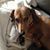 Lynn Grabis's profile image