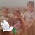Carlos Alberto Noble's profile image