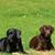 Cathy Revis's profile image
