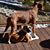 Tanya Moreau's profile image