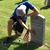 April Coalson Parrott's profile image