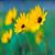 Dianne Mortimer O'Neill's profile image