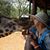 Lynn Matteson Leissler's profile image