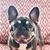 Lisa Hill-Starr's profile image