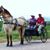 Terry Steele Quinn's profile image
